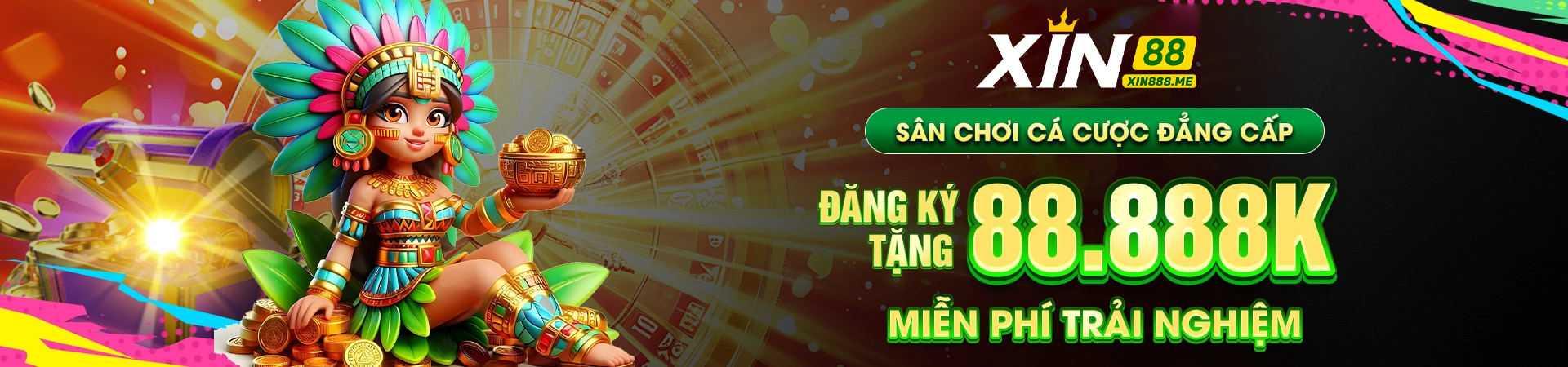 banner XIN88