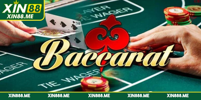 Một số cửa cược phổ biến có trong game bài Baccarat