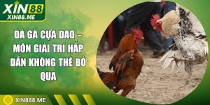 da-ga-cua-dao