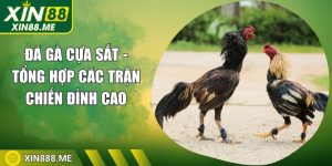 da-ga-cua-sat