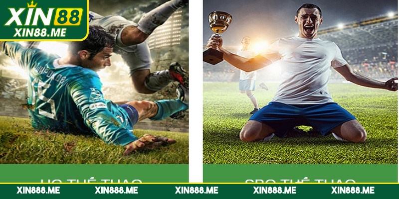 Ưu điểm nổi bật khi cá cược thể thao tại Xin88
